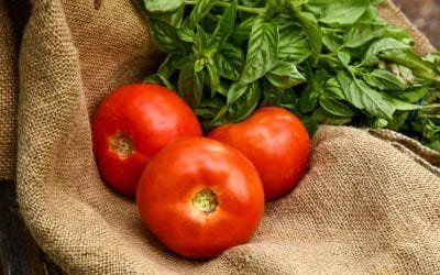 Easiest Tomato & Basil Baked Rainbow Trout