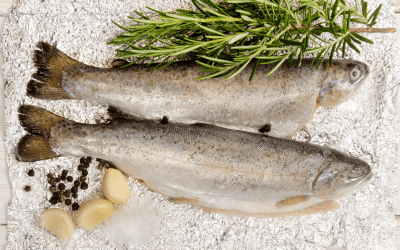 Appetizing Garlic Butter Rainbow Trout